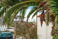 Coast PalmTree Yard 2BR Block from Beach Hotels in Pacifica