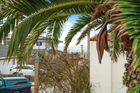 Coast PalmTree Yard 2BR Block from Beach