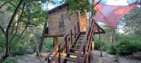 TreeHouses Ljubač Glamping Robinson