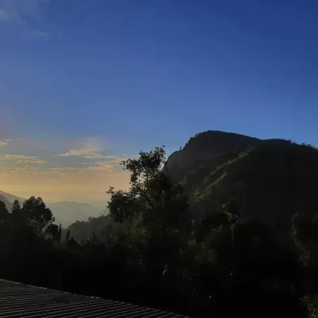 Ella Village View Homestay