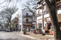 Avemore Eikehoff No 26 Full Power Back up