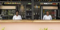 瑟迪亞河畔酒店 - 酒吧