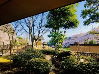 庭 瀧澤禅寺の写真