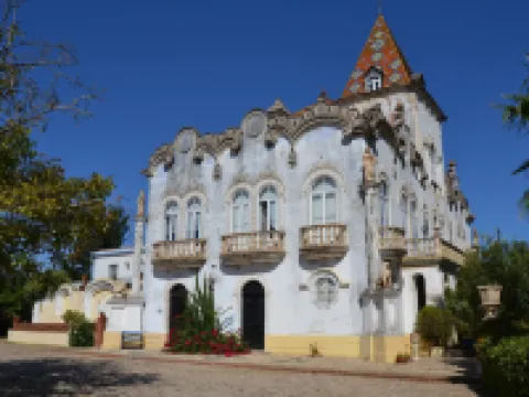 Quinta de Coalhos TH Hotels in Abrantes