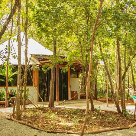 Dreamsea Surf Camp