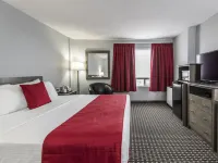 Paradise Inn & Conference Centre Hotels in Grande Prairie