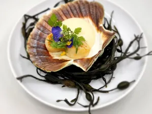 Blåtind Boutique Hotel