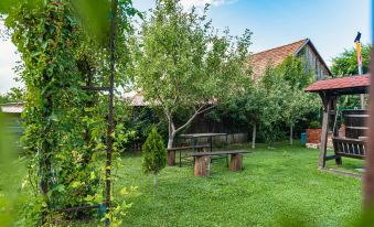 Casa Dives - Transylvania