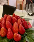 Aquarooms Luxury Suites