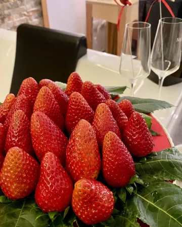 Aquarooms Luxury Suites Отели в г. Палермо