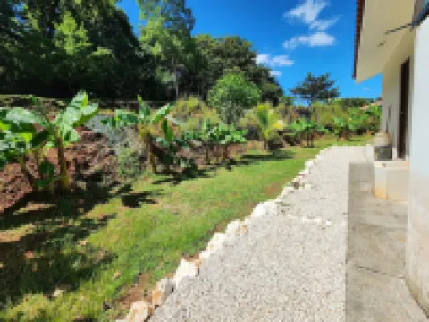 Casa Naranja Jungle Villa Hotels in 