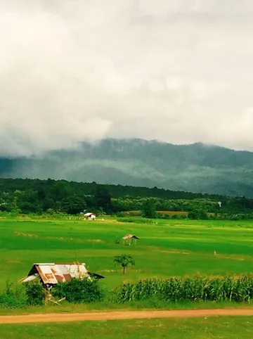 รูปภาพของเฮือนวาดเขียนรีสอร์ท