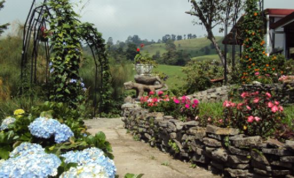 Guayabo Lodge - Housity