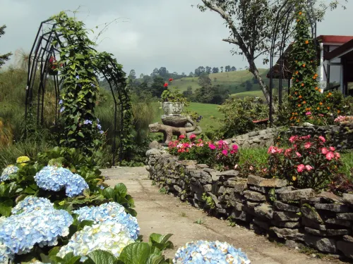 Guayabo Lodge Отели в г. Турриальба
