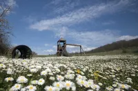 Bio Agriturismo la Cerqua Отели в г. Читта-ди-Кастелло