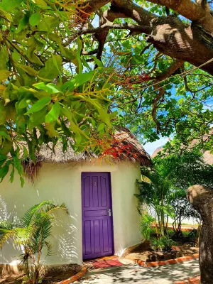 Bohemiaz Resort and Spa Kampot Hotels in Boeng Tuk
