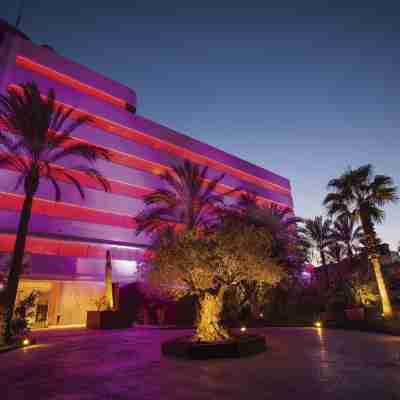 Pacha Hotel Hotel Exterior