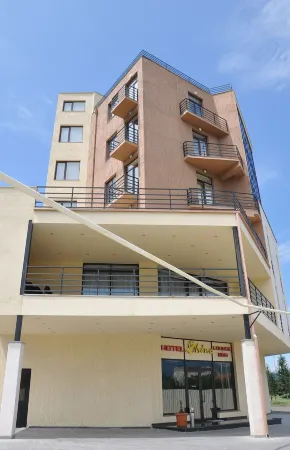 Hotel Shine Palace Отели в г. Навдараанткари