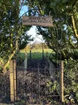Eastwood Lodge - Homestay