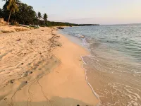 Hotel G Beach Resort and Restobar - Beach