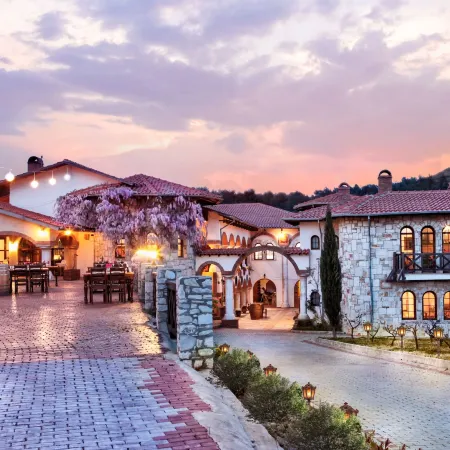 Vinifera Vineyards Hotel
