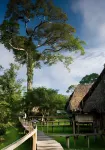 Cuyabeno River Lodge - Homestays