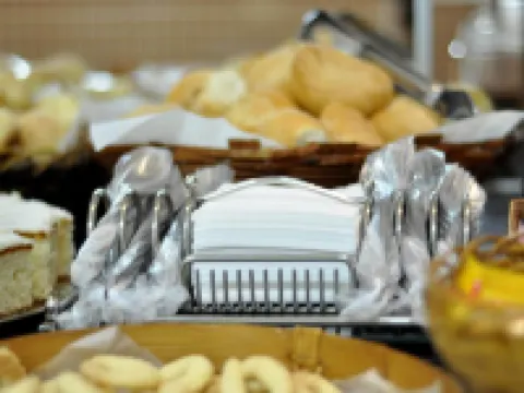 Hotel Carolina Plaza Hotels in Uberaba