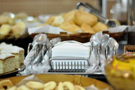 Hotel Carolina Plaza Отели в г. Убераба