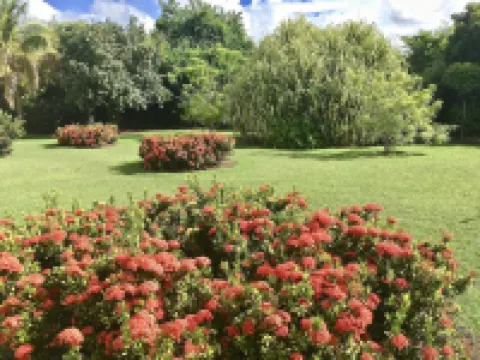 Résidence le Vallon Guadeloupe Parc Piscine Appartements & Studios Hotels in 