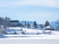 Hokuryuko Hotel Hotels in Iiyama