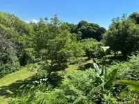 Le Jardin Saint Germain Lodges and Events - homestay