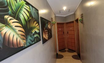 WR Studios de Temporadas