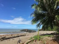 Jungle Drake Hotels in Rincon
