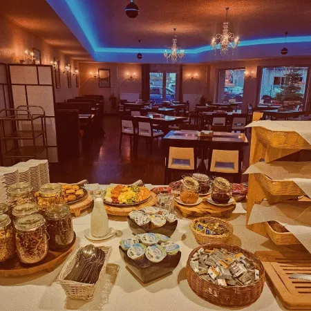 Hotel Borowiecki