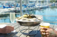Shade Hotel Redondo Beach Hotels in Redondo Beach