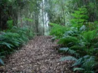parkwood cottage Otways Hotel a Cape Otway