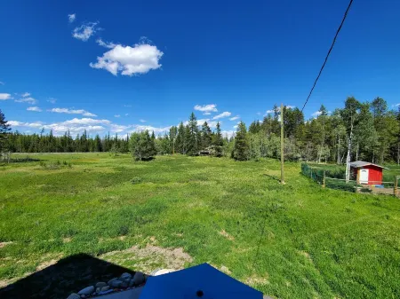 Meadow View Guest House, covered parking and only 10 minutes from ski hill