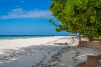 Monkey Beach House, Beachfront, Ocean Views,  Shared Pool, Staff Provided Отели в г. Мсамбуэни