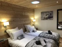 Beautiful apartment T3-60m2 Meribel center