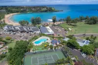 Oceanview Kalapaki Beach Healthy / Non-toxic 2-bedroom condo with WiFi, AC