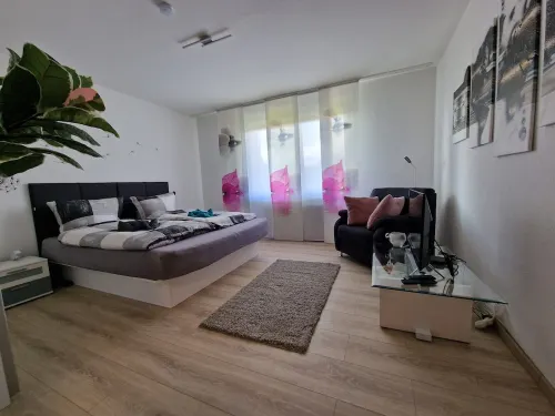 Comfortable holiday apartment Starennest with direct view of the Harz Mountains