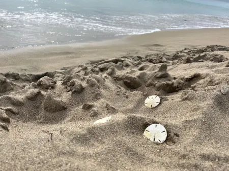 5 bedroom Villa with pool, 5 min walk to the beach