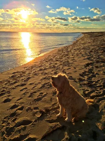 Great SUMMER WEEKS Available! Отели рядом с достопримечательностью «Заповедник Джеу Понд»