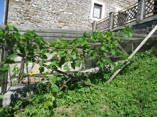 Farmhouse in Klavze, Most na Soci, Primorska, Slovenia - Peaceful Location Hotels in Tolmin