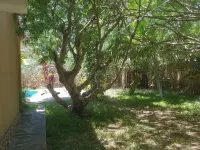 Paradise Awaits
