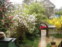 Beautiful Victorian Home - Central Vancouver! Hotels in Mount Pleasant