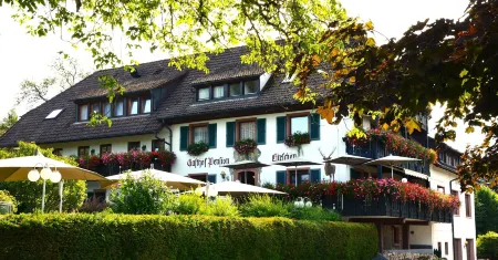 Genusshotel Hirschen - Erholung im Grünen (Südschwarzwald) Отели в г. Кляйнес Визенталь