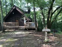 A Cabin in the Woods