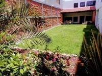 Hotel Y Suites Axolotl Hotels in 