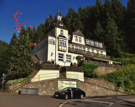 Flair-Hotel Waldfrieden Отели в г. Бергбанрегион